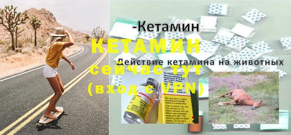 ГАЛЛЮЦИНОГЕННЫЕ ГРИБЫ Михайловка