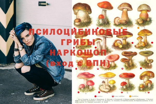 кристаллы Мегион