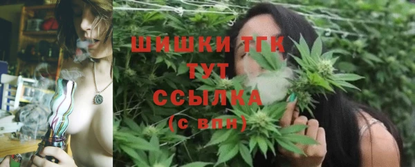 дурь Михайлов
