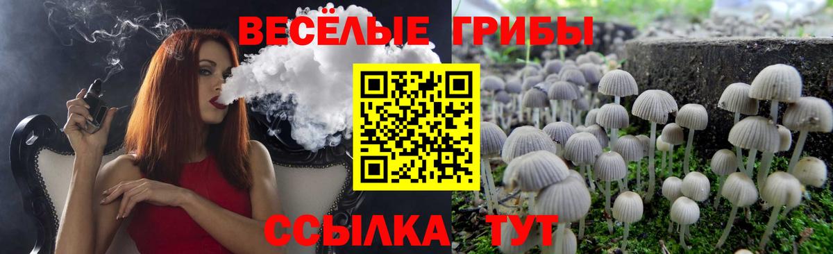 Новоалтайск  Псилоцибиновые грибы Psilocybe  Псилоцибиновые грибы мицелий  Вход с VPN 